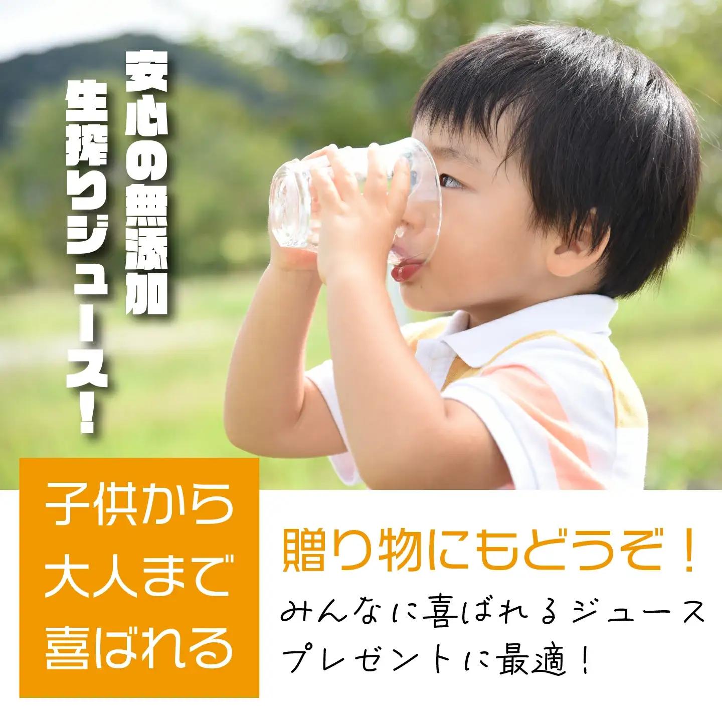 無添加りんごジュース 雪越しの濃いしぼり 720ｍｌ １本 スッキリタイプミニ200ｍｌ ３本 ミックス箱 計４本 飲み比べ ギフト お土産【07208-0200】