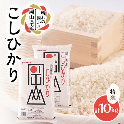 ふるさと納税 美作市 【令和7年産】岡山県産こしひかり10kg(5kg×2袋)