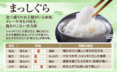 まっしぐら 玄米 青森県産 まっしぐら【10kg(5kg×2)】【先行予約】