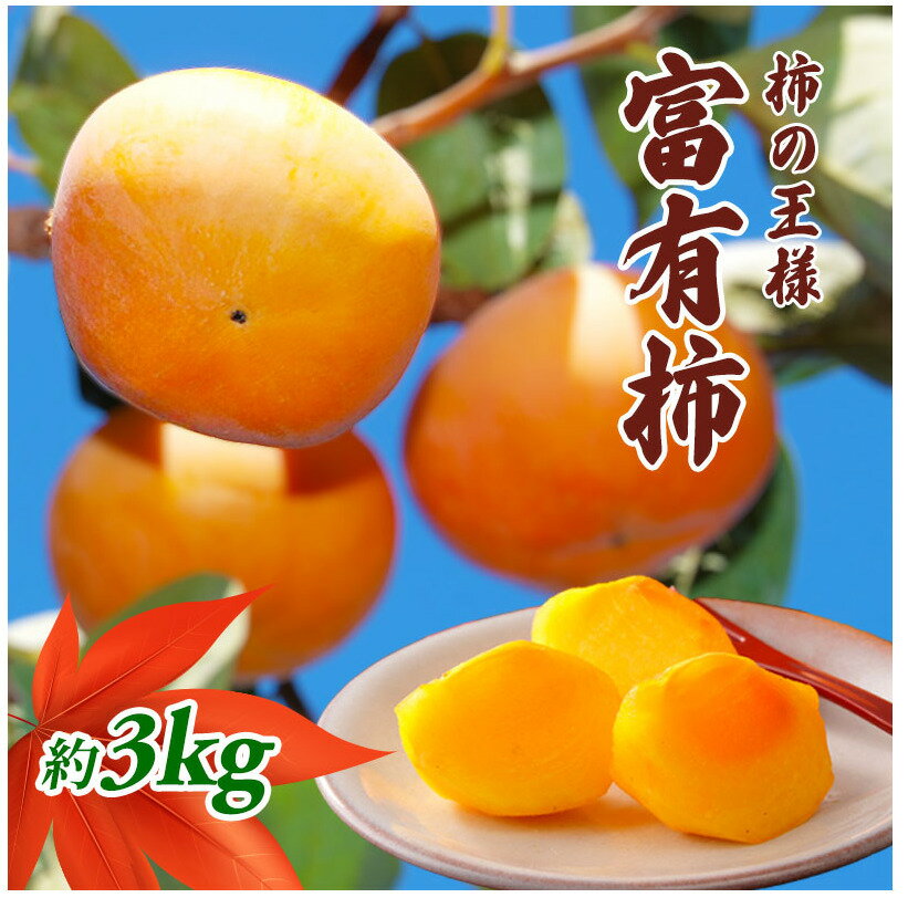 【ふるさと納税】柿の王様 富有柿 3kg 果物類 　お届け：2026年11月10日～2026年12月20日