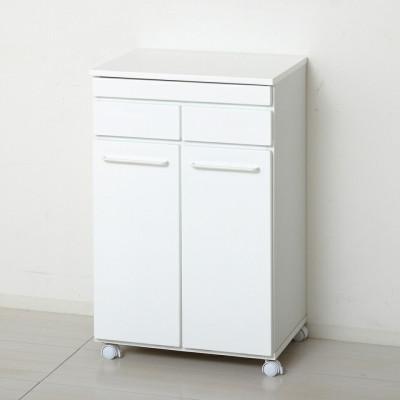 ふるさと納税 海南市 スライド棚付きダストボックス2D ホワイト AKU104405101