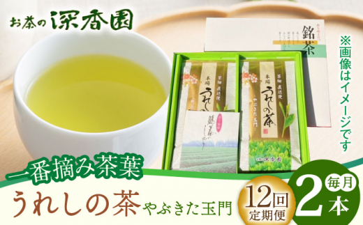 
【12回定期便】一番摘み茶葉使用 うれしの茶 2本入（やぶきた 玉門 100g×2本） /お茶の深香園 [UAF009] 茶 お茶 緑茶 日本茶 煎茶
