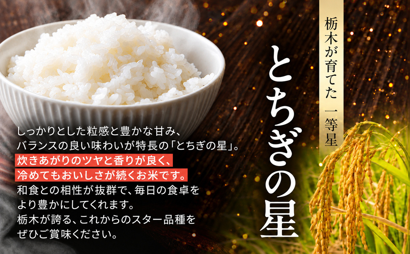 【令和8年産 新米】 栃木県産 お米 とちぎの星　（白米） 10kg 【2026年秋以降発送】 |  栃木県 矢板市 【栃木県共通返礼品 真岡市産】 白米 10kg | 15000円