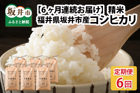 【先行予約】【令和8年産・新米】【6ヶ月定期便】 コシヒカリ5kg×6回　合計30kg（精米）【2026年10月より順次発送予定】 [G-11302_03]