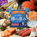 【ふるさと納税】【定期便】 年3回お届け しらぬか海の恵みセット'24'25 (年3回定期便) 魚 頒布会 詰合せ 海鮮食品 魚介類 魚介 人気 北海道 白糠町