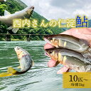 【ふるさと納税】鮮度にこだわり！仁淀鮎★10尾〜（冷凍1kg）★　川魚 アユ あゆ 若鮎 使いやすい 調理 塩焼き 甘露煮 天然 産地直送