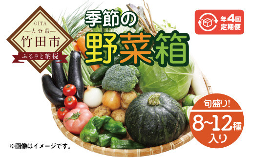 
竹田市産！季節の『野菜箱』年4回 四季の定期便【1箱あたり:8~12種】
