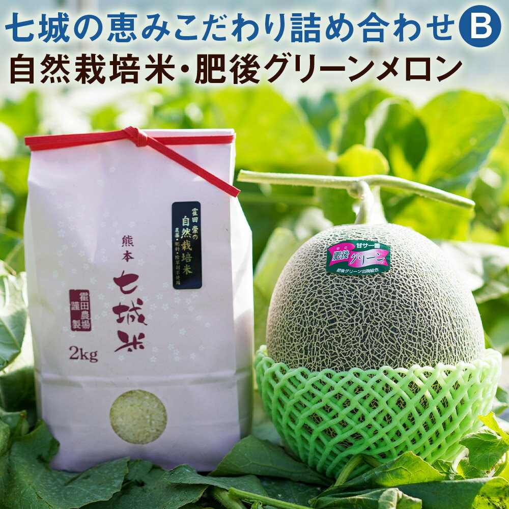 【ふるさと納税】七城の恵みこだわり詰め合わせB 自然栽培米2kg 肥後グリーンメロン1玉 セット お米 精米 白米 ヒノヒカリ メロン 果物 フルーツ 熊本県産 九州産 送料無料【2026年5月上旬～5月下旬に順次発送予定】