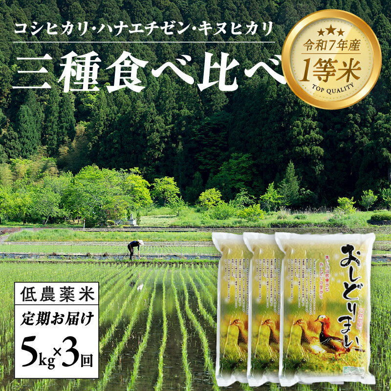 【ふるさと納税】【3ヶ月連続お届け】令和7年産 おしどり米 コシヒカリ、ハナエチゼン、キヌヒカリ 3種類食べ比べ定期便 5kg × 3回 計15kg [E-00505] / 有機栽培 白米 精米 ご飯 コメ ごはん ライス 産地直送 鯖江市