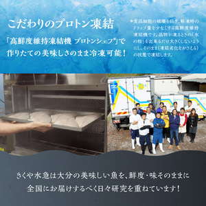 E04014　関ぶりの刺し身（柵状）　約600g