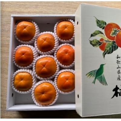 ふるさと納税 橋本市 【先行受付　2026年11月以降順次発送】紀州てまり　4Lサイズ |  | 01