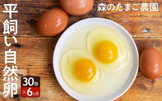 6ヶ月 定期便 平飼い 自然卵 30個 セット たまご 卵 飛騨高山 森のたまご農園 LW103