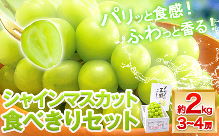 【先行予約】シャインマスカット 岡山 約2kg 食べ切りセット 《2026年9月上旬頃より出荷》 数量限定 シャイン マスカット 岡山県産 果物 フルーツ 旬 葡萄