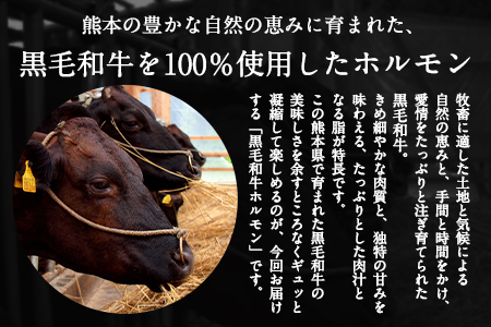 黒毛和牛ホルモン400g 有限会社トップルーフ 黒毛和牛 