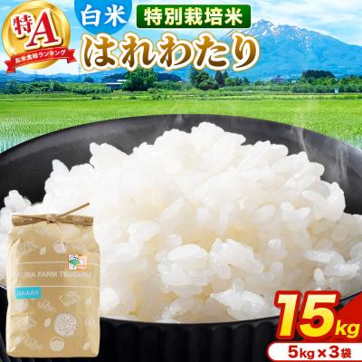 ふるさと納税 弘前市 米【特別栽培米】はれわたり 白米 15kg(5kg×3袋)R7年産 特A|24_mft-031501