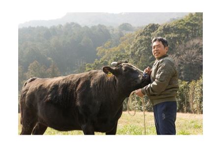 【冷凍】いにしえの牛肉　ロースしゃぶしゃぶ（CAS凍結）約500g ／特産　ブランド牛　希少　三重県