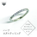 【ふるさと納税】「一生もの」ダイヤハーフエタニティリング（H.SI）指輪 レディース ダイヤモンド 0.21ct ジュエリー アクセサリー シンプル 上質 宝石 贈り物 プレゼント ジュエリーケース付 石が取れにくい（AD-144）　 装飾品