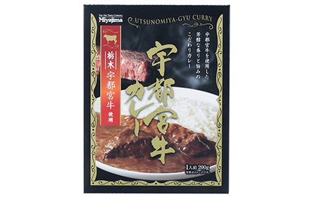 宇都宮牛カレー 200g×20個セット
