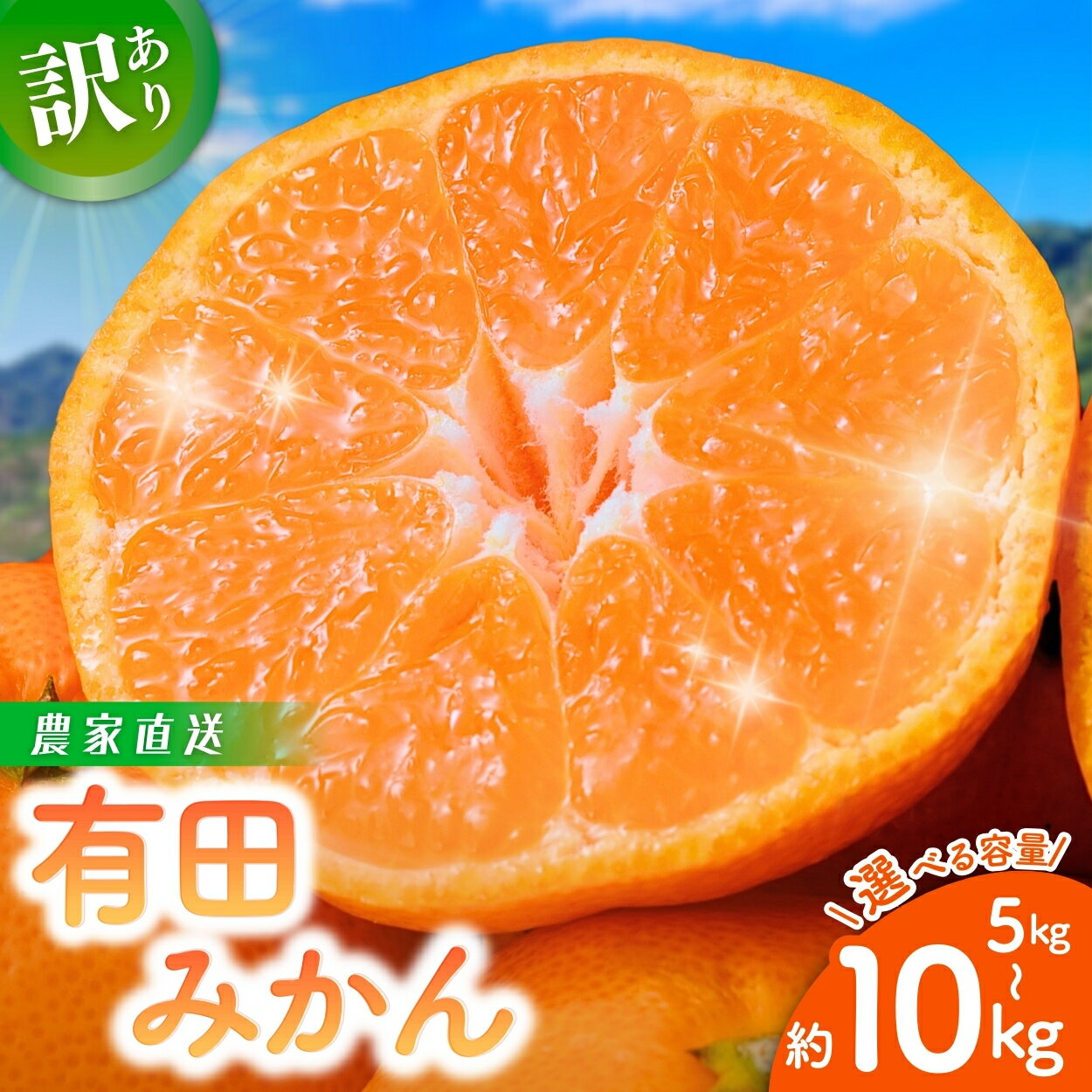 【ふるさと納税】有田みかん 農家直送 訳あり（お届け日指定不可）ご家庭用 自宅用 訳あり みかん 果物 くだもの フルーツ わけあり 8000円 10000円 13000円 農家直送 サイズ混合 有機質肥料100%《 額田農園限定レビューキャンペーン対象 》家庭用 和歌山県 有田みかん