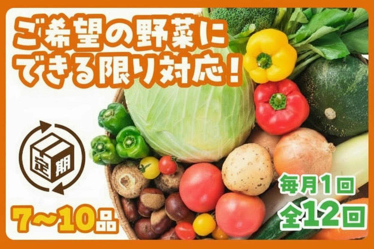 
                  A122 わがまま野菜定期便（年12回）
                