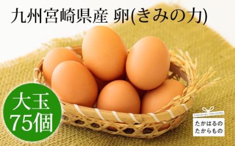 宮崎県産の赤たまご『きみの力(チカラ)』大容量75個Lサイズの赤卵 ミネラルたっぷりのカキガラや上質な飼料ですくすく育った鶏の卵は甘くておいしい逸品 [新鮮 たまご L玉 玉子 大玉 10000円 1万円 『返礼品特集20000円以下』-宮崎県高原町] TF0406-P00035