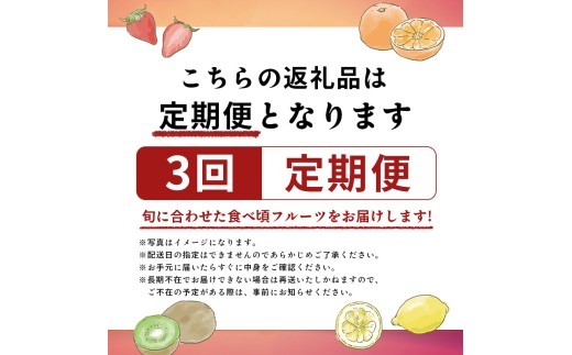 旬のフルーツ 定期便 3回 Eコース 果物 フルーツ さぬきゴールド キウイ キウイフルーツ ゴールドキウイ 香緑 グリーンキウイ スイーツ デザート ケーキ ゼリー ジュース ジャム アイス ジェラ