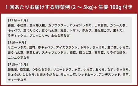 【定期便6回】旬の野菜の詰め合わせと栽培期間中農薬不使用の生姜100g付き 詰め合わせ 野菜セット 野菜 ギフト やさいセット お取り寄せグルメ 家庭用 旬野菜 新鮮 特産 農薬不要 食材