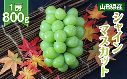 FYN9-592 《2026年先行予約》山形県産 シャインマスカット 約800g 1房 2026年9月下旬から順次発送 ぶどう ブドウ 葡萄 マスカット 大粒 種なし 高級 くだもの 果物 フルーツ 秋果実 贈り物 贈答 ギフト プレゼント 産地直送 山形県 西川町 月山