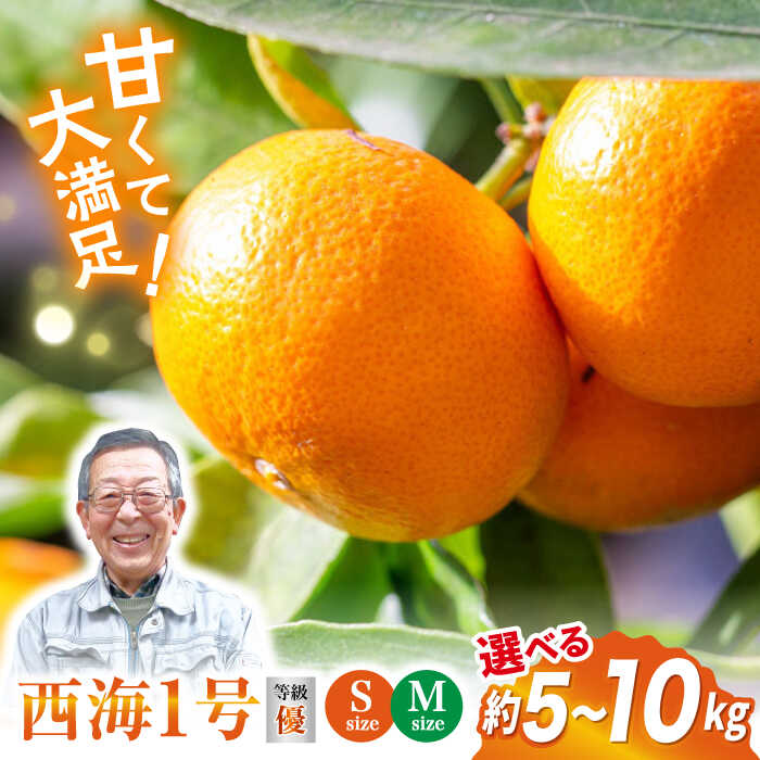 【ふるさと納税】【11月上旬よりお届け】【 訳あり 】西海1号（温州みかん）約5kg 約 10kg（優品）＜西海柑橘農業協同組合＞ [CCF002] みかん 柑橘 果物 訳あり 早生 甘い スイーツ ビタミン補給 ブランド みかん 年内配送 年内 規格外 不揃い