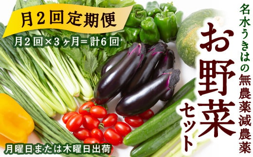 
P334-06 【月2回定期便】UIC 名水うきはの無農薬減農薬お野菜セット (ひと月2回×3か月=計6回)
