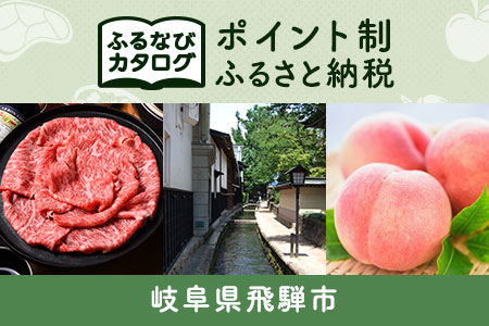 【有効期限なし！後からゆっくり特産品を選べる】岐阜県飛騨市カタログポイント