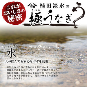 楠田のきざみうなぎ70g×4袋(計280g) うなぎ 鰻 ウナギ 国産 鹿児島県産 九州産 蒲焼き 冷凍 うな重 ひつまぶし a2-071