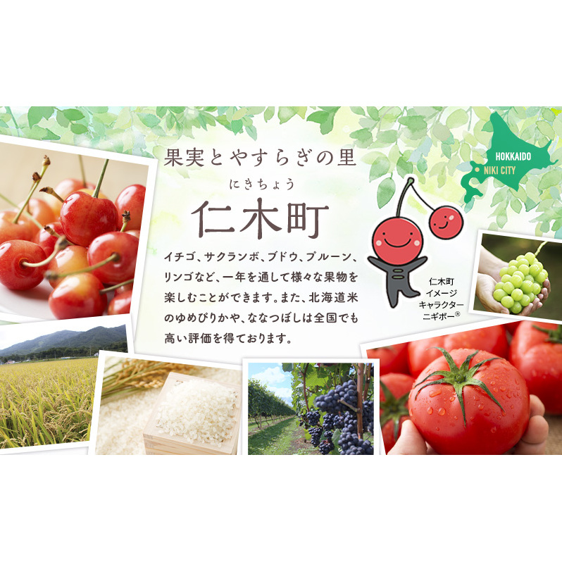 北海道 仁木町産 サンプルーン 800g （400g×2） プルーン 果実 果物 くだもの フルーツ