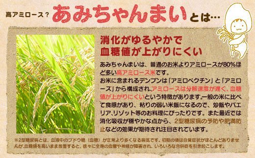 グルテンフリー！米粉で作ったもっちりシフォンケーキ　紅茶味（4〜6人分）