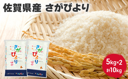 さがびより 白米 佐賀県産 さがびより【10kg(5kg×2)】