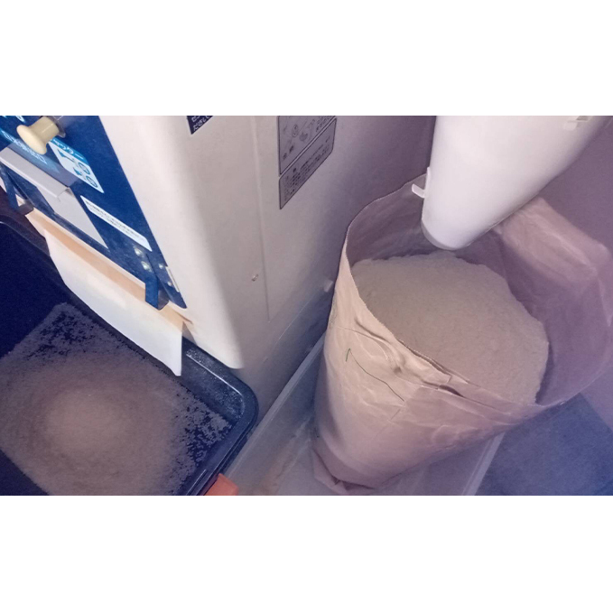 北海道 上富良野産「 ゆめぴりか 」特別栽培 白米 10kg（令和7年産） お米 日用品 ライス 食べ物 ストック 常備品 北海道産 おにぎり お弁当 _イメージ3