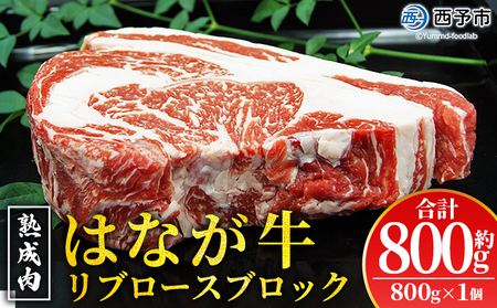 ＜熟成肉 はなが牛リブロースブロック約800g（800g×1個）＞ 牛肉 ステーキ 鉄板焼き 焼き肉 国産 塊肉 かたまり 霜降り しもふり バーベキュー BBQ キャンプ アウトドア 特産品 ゆうぼく 愛媛県 西予市【冷凍】『2か月以内に順次出荷予定』UYB0010