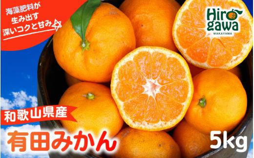 和歌山県の有田みかん 5kg / 温州みかん 有田みかん 甘い 柑橘 和歌山 ※11月中旬～翌年1月中旬頃に順次発送予定 【aii004-r-5A】