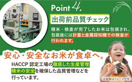 令和6年産 さがびより 白米 10kg（5kg×2袋）【株式会社 JA食糧さが】 [HCM001]