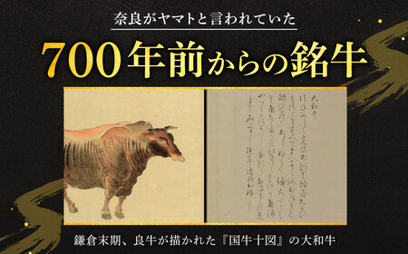 希少和牛肉 大和牛 すき焼き・しゃぶしゃぶ用切り落とし 1.2kg 肉の河内屋 牛肉 特選和牛 肉 黒毛和牛 すき焼き用牛肉 和肉 高級牛肉 和牛 肉 上質霜降り牛肉 国産牛肉 和牛 肉 すき焼き 肉