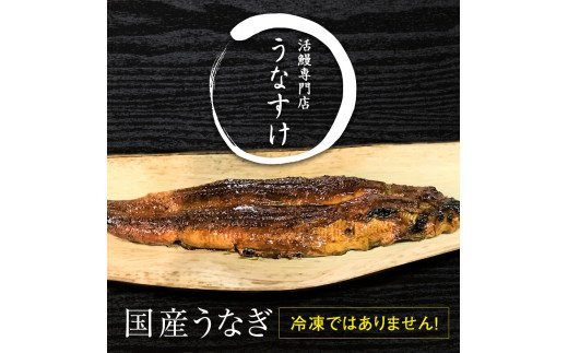 
国産うなぎ白焼き (1匹)＋肝焼き｜名店 鰻 ウナギ うな丼 鰻丼 肝 希少部位 冷蔵 クール便 ひつまぶし 丑の日 簡単調理 [0523]
