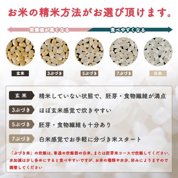 《令和8年新米先行予約》【一等米 選べる精米方法：白米】秋田県産 あきたこまち 5kg 潟上市【こまちライン】