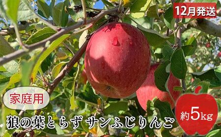 りんご 【 12月発送 】狼の葉とらず サンふじりんご 家庭用 約 5kg 【 弘前市産 青森りんご  果物類 林檎 リンゴ 訳あり 5キロ  】