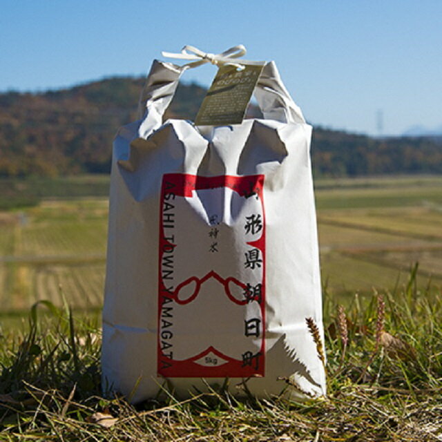 【ふるさと納税】 新米 令和7年産 10kg （5kg・2袋） 大谷風神米（山形95号）山形県 朝日町産 2025年産 精米 お米 こめ コメ 送料無料 農家直送