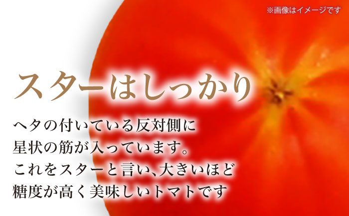 リサフルーツトマト 約2kg トマト とまと 野菜 【株式会社 堀】 [ATDA003]