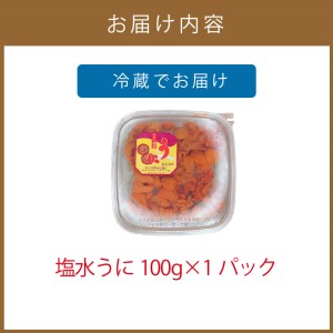 【予約：2024年4月中旬から順次発送】サロマ湖産 塩水うに 100g ( ウニ 雲丹 100グラム 魚介 海鮮 期間限定 ふるさと納税 濃厚 うにご飯 北海道 北見市 )【113-0001-2024