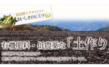 【2024年8月～発送】トウモロコシ 2種類セット 10本入 生で食べれる ピュアホワイト＆恵味 北海道 富良野市 (スイートベジタブルファクトリー) とうもろこし とうきび コーン 野菜 新鮮 甘い