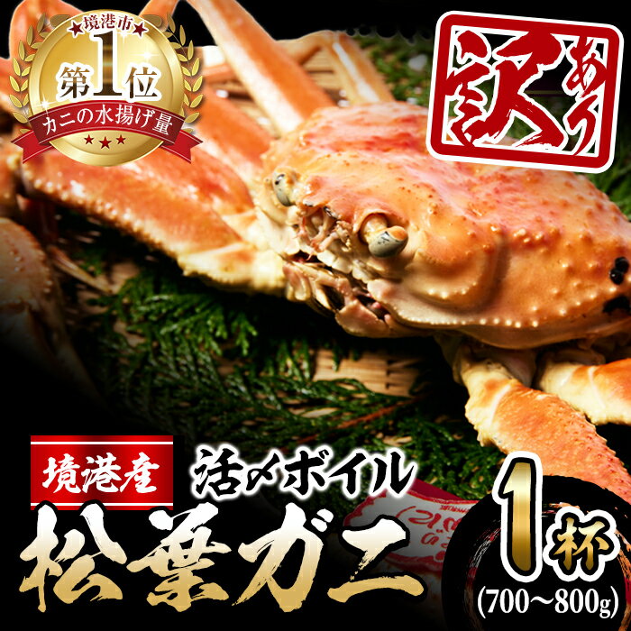 【ふるさと納税】＜11月上旬～順次発送予定＞＜訳あり＞活〆ボイル松葉蟹(700～800g) 魚介 海鮮 海の幸 カニ かに 蟹 松葉ガニ 活〆 ボイル 焼きガニ 鍋 弾力 甘み 冷蔵 【sm-AL014】【マルツ】