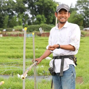 にんじんジュース りんごミックス 1L×2本 オーガニックファーム所沢農人 | 埼玉県 所沢市 ジュース 人参 人参ジュース 野菜ジュース リンゴ フルーツ ミックスジュース 果肉 トロトロ 濃厚 お