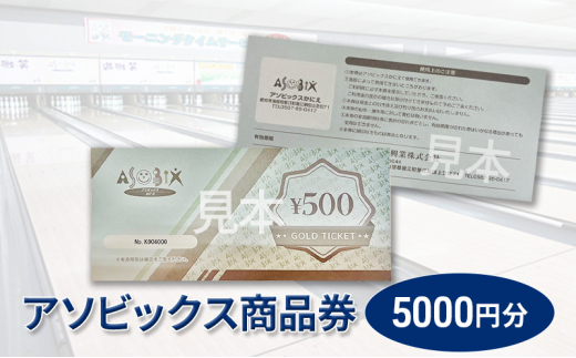 
[№5830-0301]アソビックス商品券5000円分
